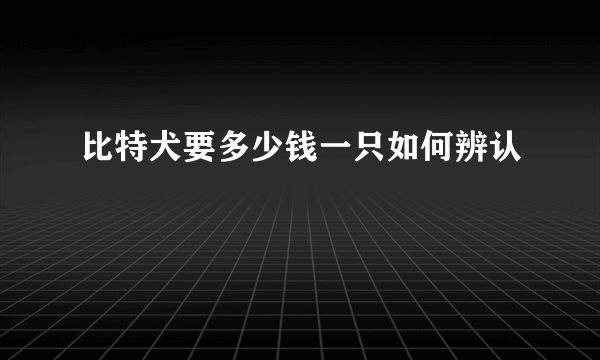 比特犬要多少钱一只如何辨认