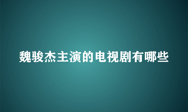 魏骏杰主演的电视剧有哪些