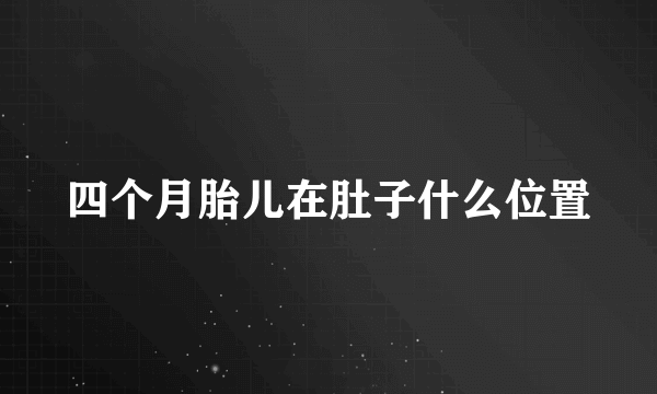 四个月胎儿在肚子什么位置