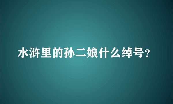 水浒里的孙二娘什么绰号？