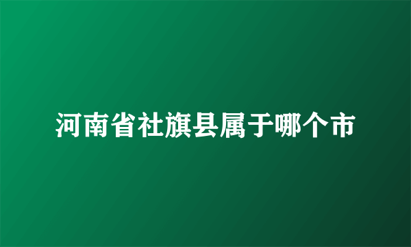 河南省社旗县属于哪个市