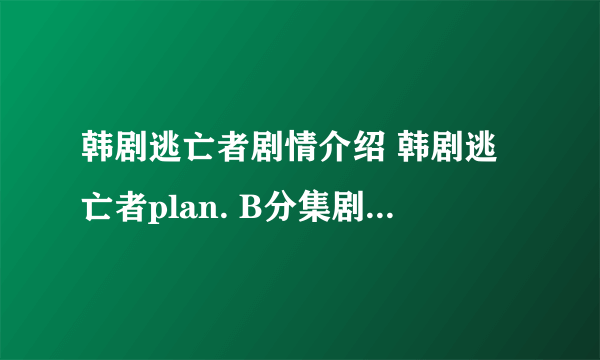 韩剧逃亡者剧情介绍 韩剧逃亡者plan. B分集剧情介绍、大结局