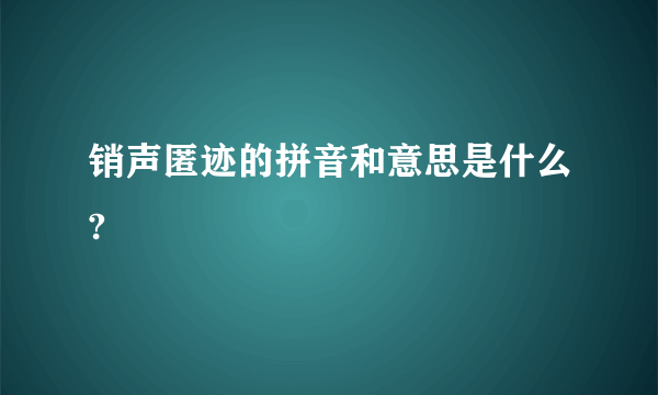 销声匿迹的拼音和意思是什么?