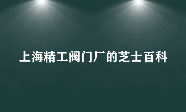 上海精工阀门厂的芝士百科