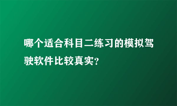 哪个适合科目二练习的模拟驾驶软件比较真实？