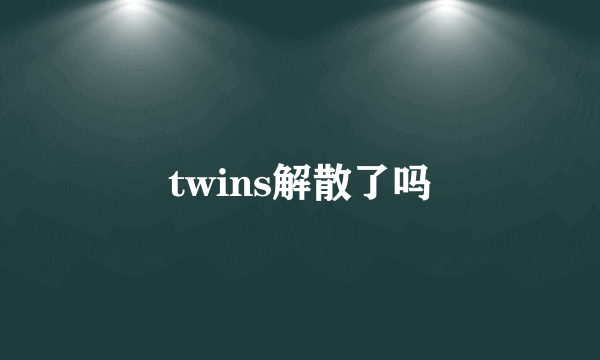 twins解散了吗