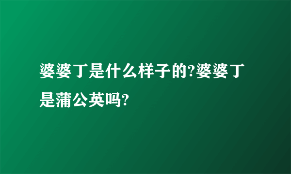 婆婆丁是什么样子的?婆婆丁是蒲公英吗?