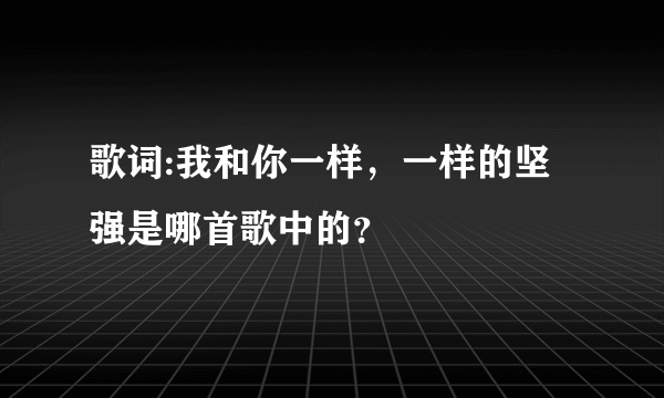 歌词:我和你一样，一样的坚强是哪首歌中的？