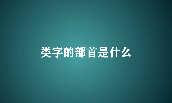 类字的部首是什么