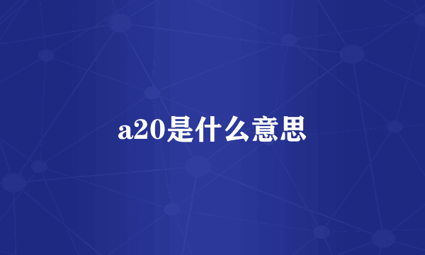 a20是什么意思