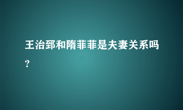 王治郅和隋菲菲是夫妻关系吗？