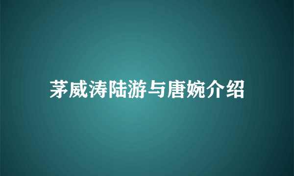 茅威涛陆游与唐婉介绍