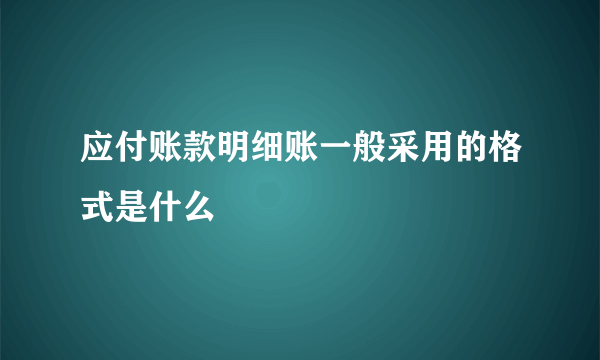 应付账款明细账一般采用的格式是什么