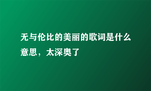 无与伦比的美丽的歌词是什么意思，太深奥了