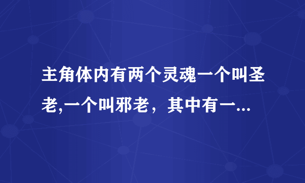 主角体内有两个灵魂一个叫圣老,一个叫邪老，其中有一个女主姓陆，