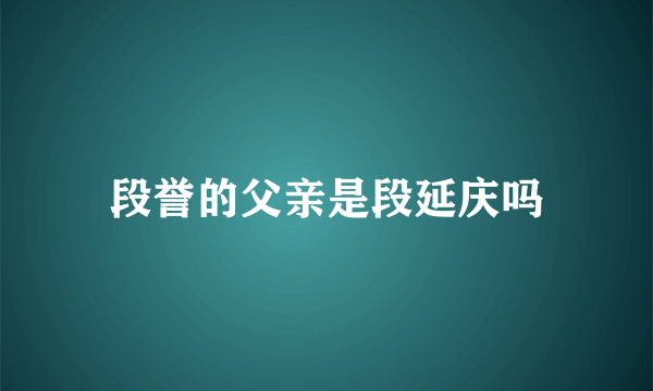 段誉的父亲是段延庆吗