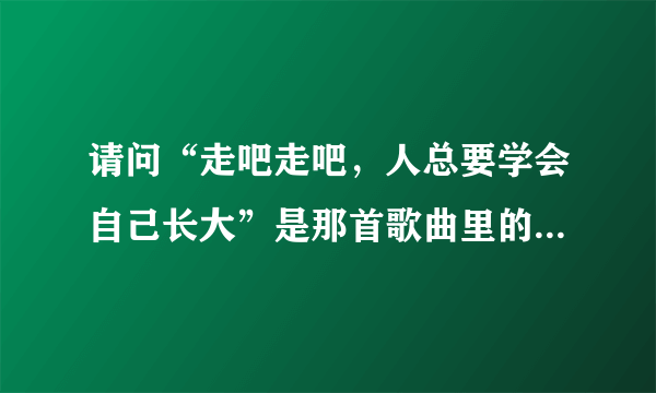 请问“走吧走吧，人总要学会自己长大”是那首歌曲里的？谢谢？