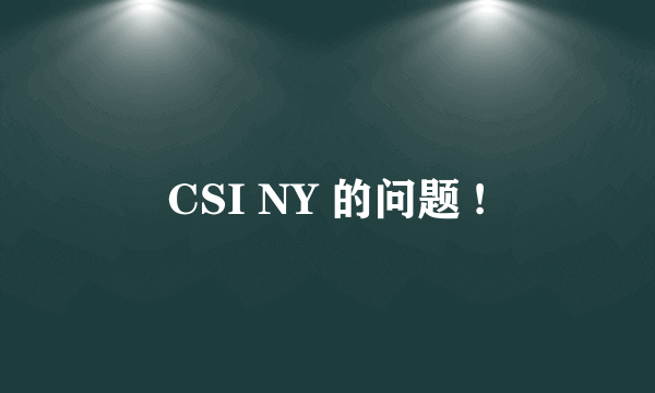 CSI NY 的问题 !