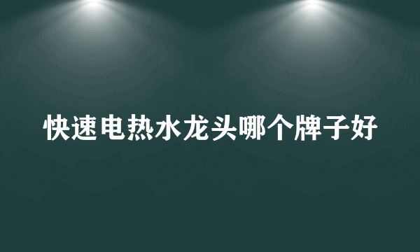 快速电热水龙头哪个牌子好