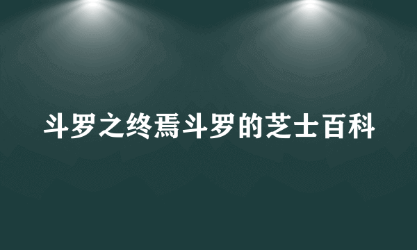 斗罗之终焉斗罗的芝士百科