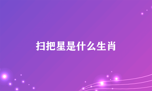 扫把星是什么生肖