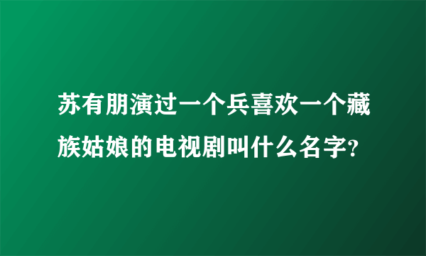 苏有朋演过一个兵喜欢一个藏族姑娘的电视剧叫什么名字？