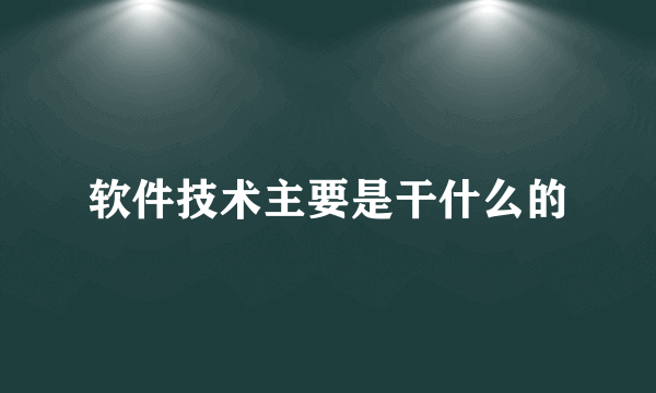 软件技术主要是干什么的