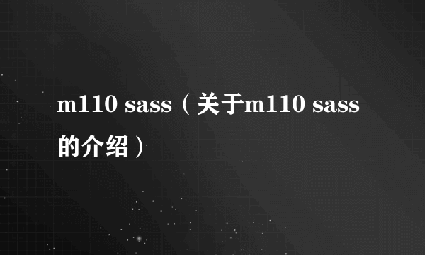 m110 sass（关于m110 sass的介绍）