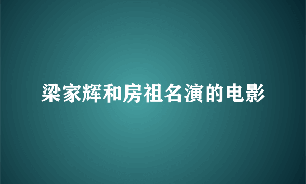 梁家辉和房祖名演的电影