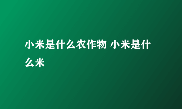 小米是什么农作物 小米是什么米