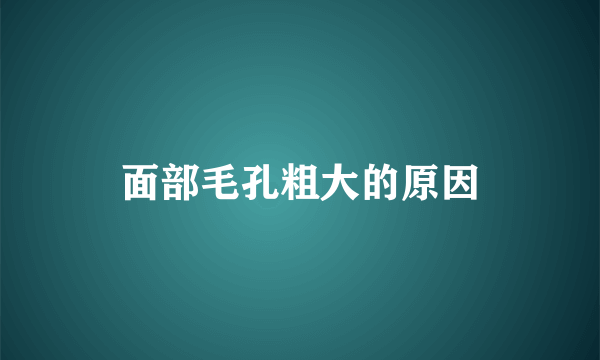 面部毛孔粗大的原因