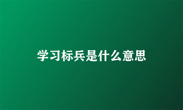 学习标兵是什么意思