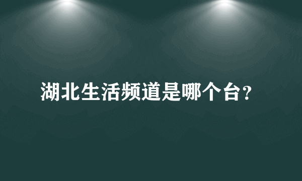 湖北生活频道是哪个台？