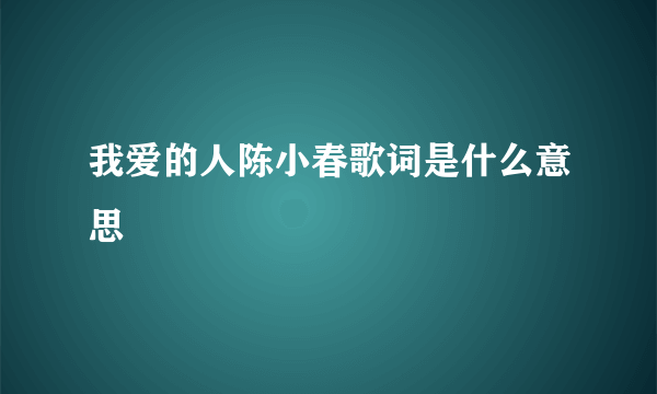 我爱的人陈小春歌词是什么意思