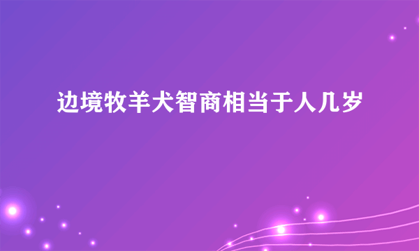 边境牧羊犬智商相当于人几岁