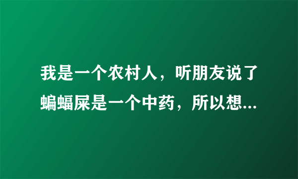 我是一个农村人，听朋友说了蝙蝠屎是一个中药，所以想了解一下，主要是治疗什么的。谢谢