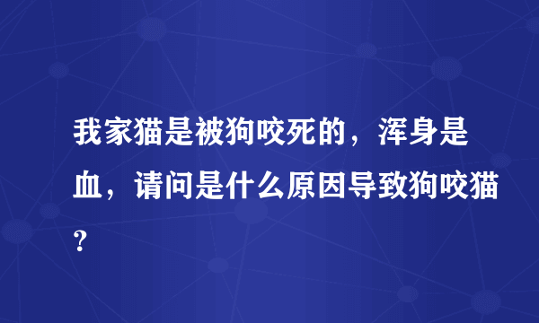 我家猫是被狗咬死的，浑身是血，请问是什么原因导致狗咬猫？