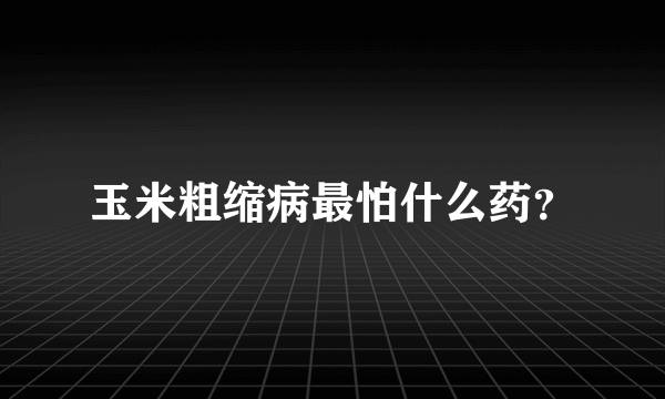 玉米粗缩病最怕什么药？