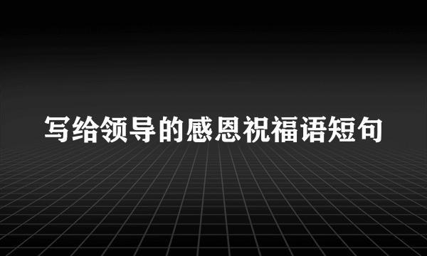 写给领导的感恩祝福语短句