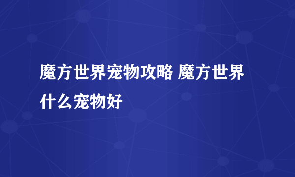 魔方世界宠物攻略 魔方世界什么宠物好