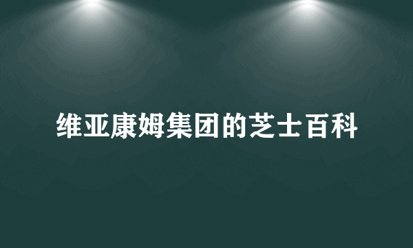 维亚康姆集团的芝士百科