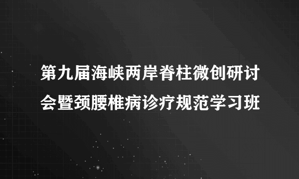 第九届海峡两岸脊柱微创研讨会暨颈腰椎病诊疗规范学习班