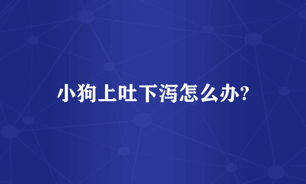 小狗上吐下泻怎么办?