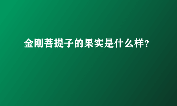 金刚菩提子的果实是什么样？