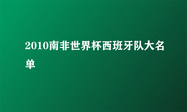 2010南非世界杯西班牙队大名单