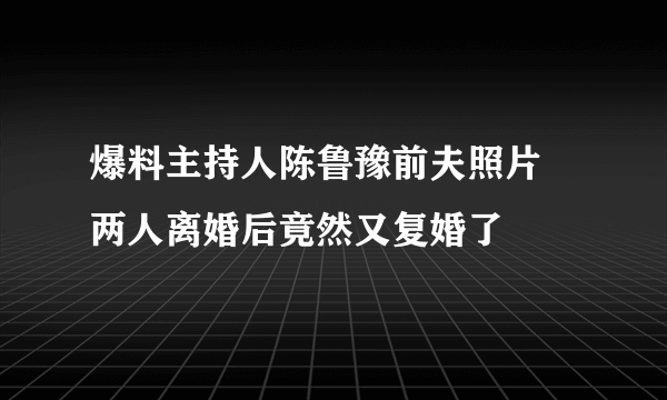 爆料主持人陈鲁豫前夫照片 两人离婚后竟然又复婚了