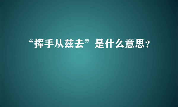 “挥手从兹去”是什么意思？