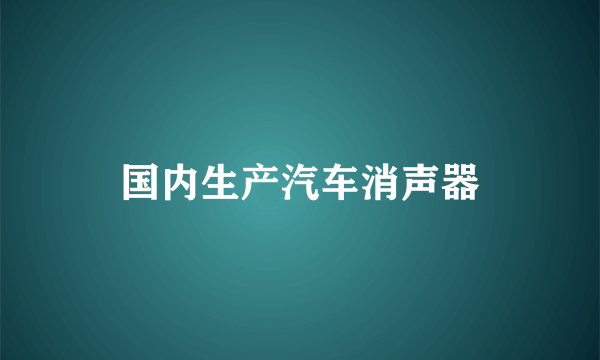 国内生产汽车消声器