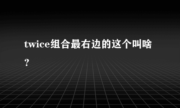 twice组合最右边的这个叫啥？