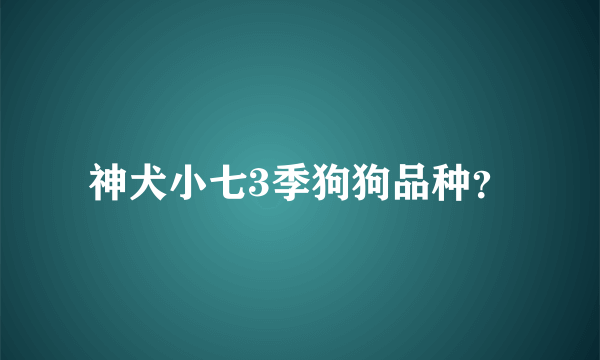 神犬小七3季狗狗品种？